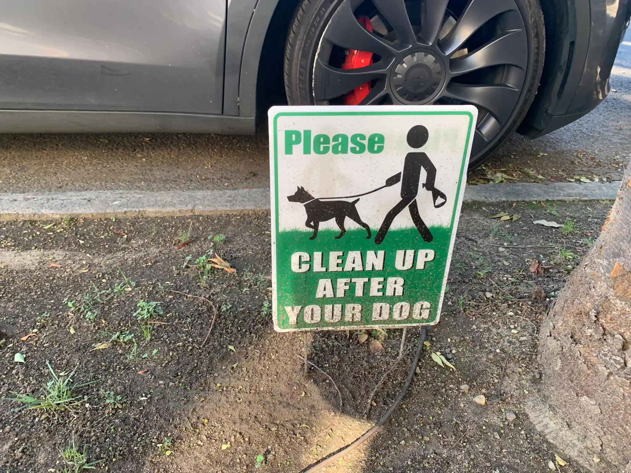 Watch your step! Dog poop is piling up on Manhattan streets and sidewalks, per new report